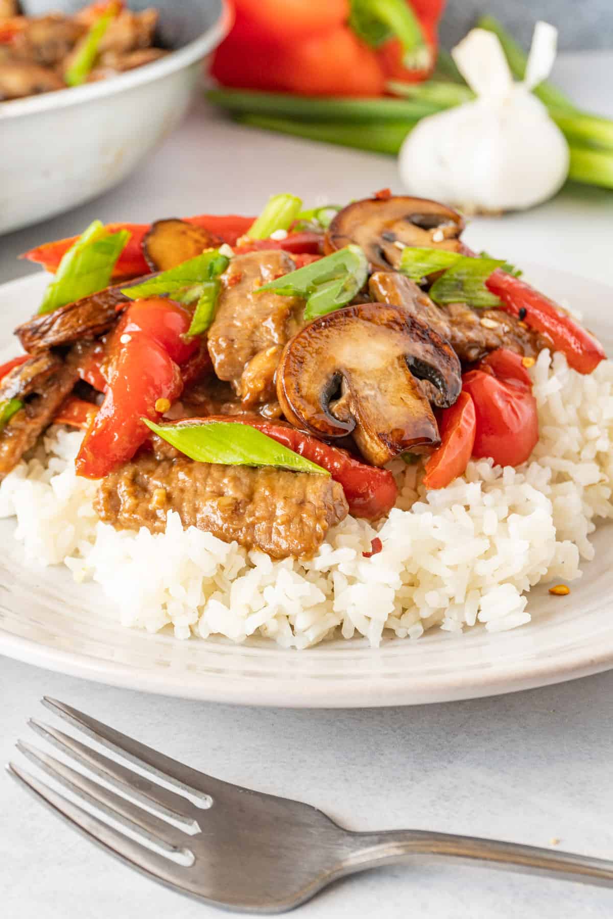 Beef with Garlic Sauce on rice on plate