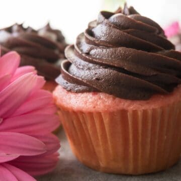 Strawberry Cupcake with Chocolate Frosting