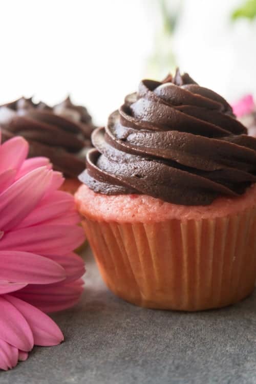 Strawberry Cupcake with Chocolate Frosting