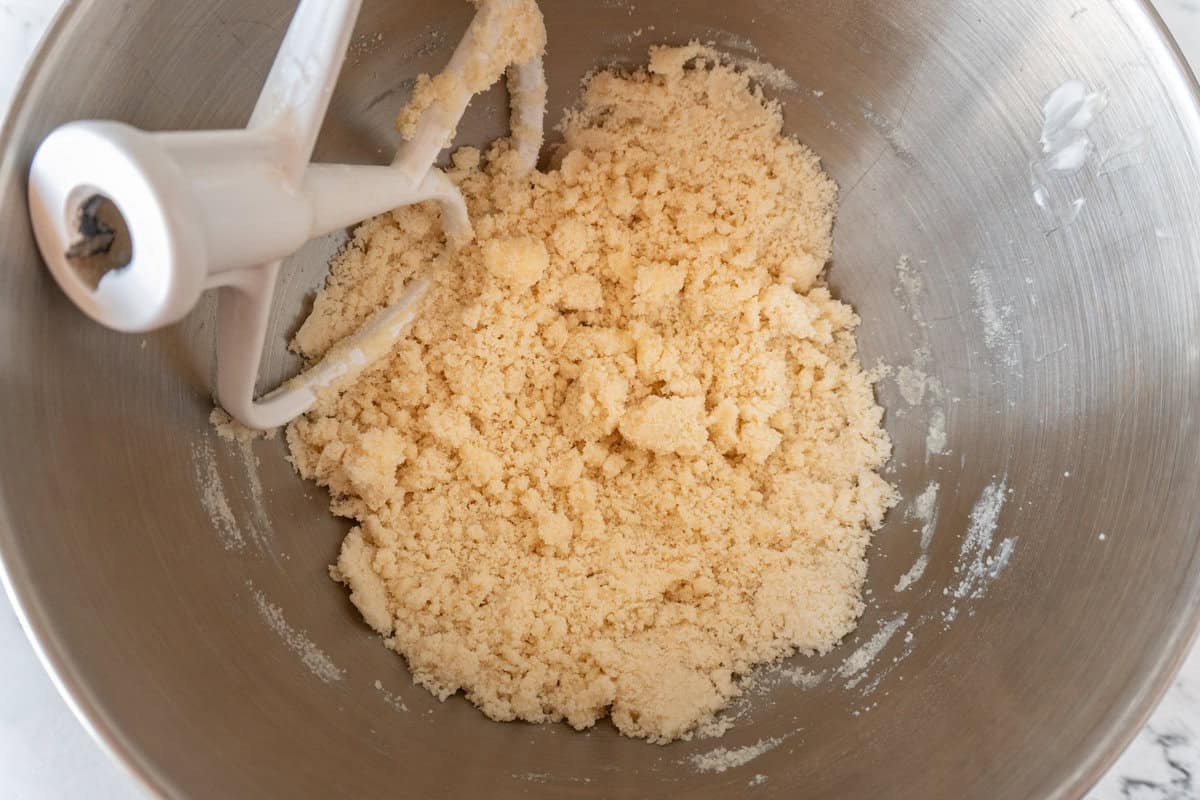 sandy texture of butter and dry ingredients mixed.