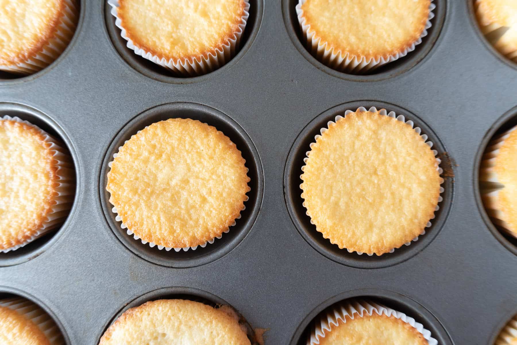 white chocolate cupcakes baked in cupcake pan.