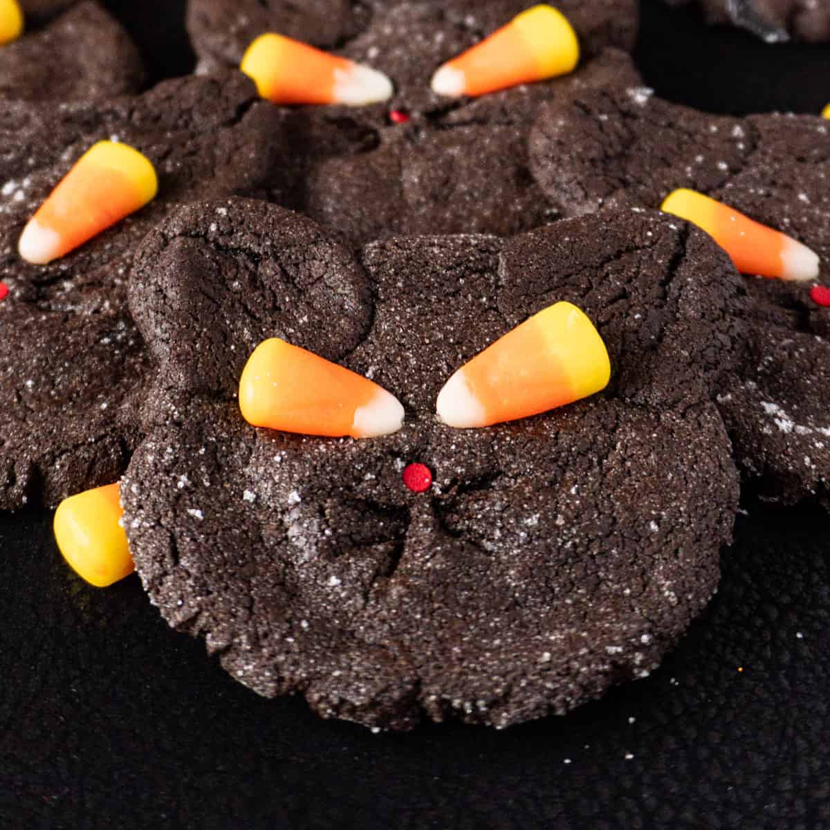 Black Cat Cookie featured image