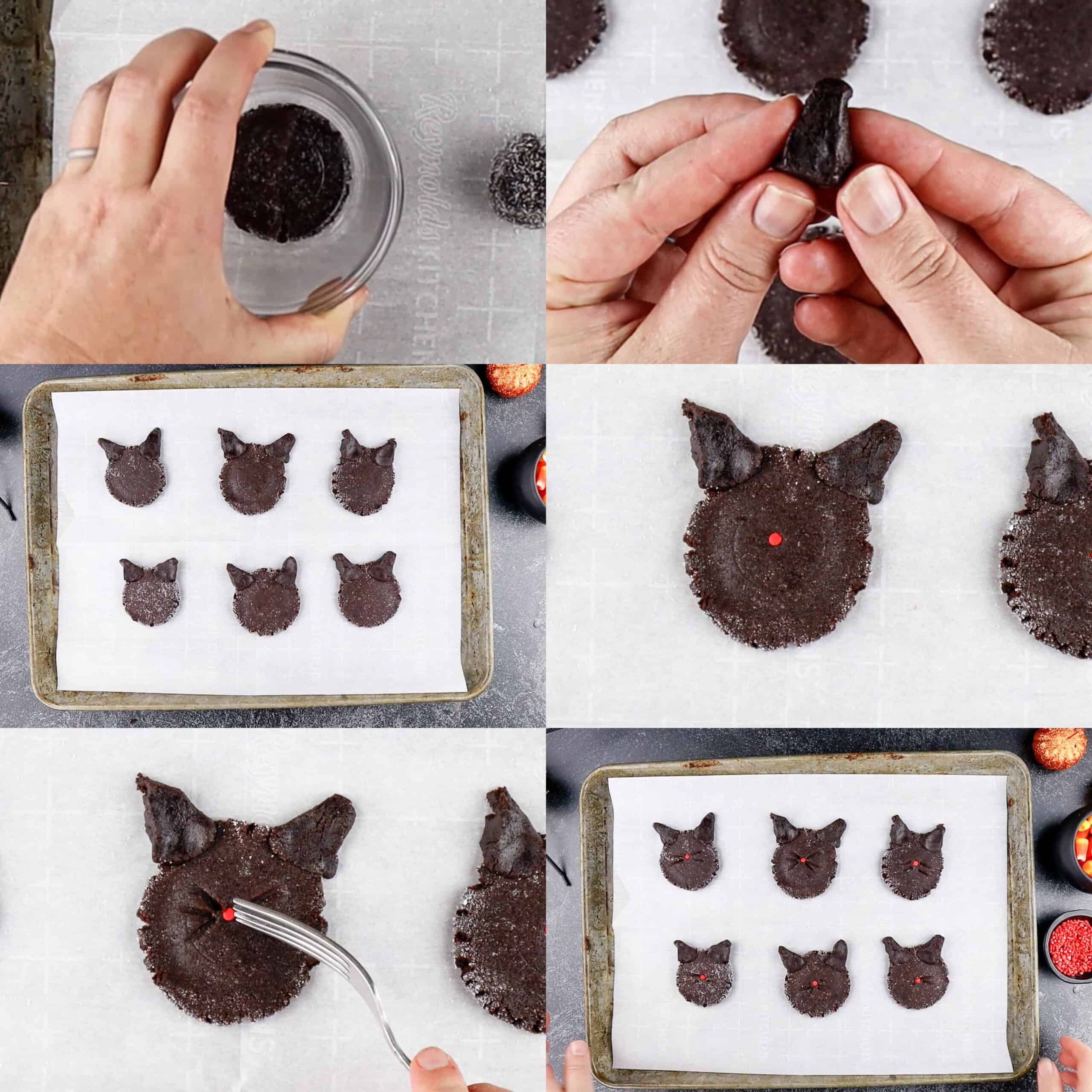 make the cookies look like cats process photos