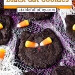 Black Cat Cookie pinterest pin