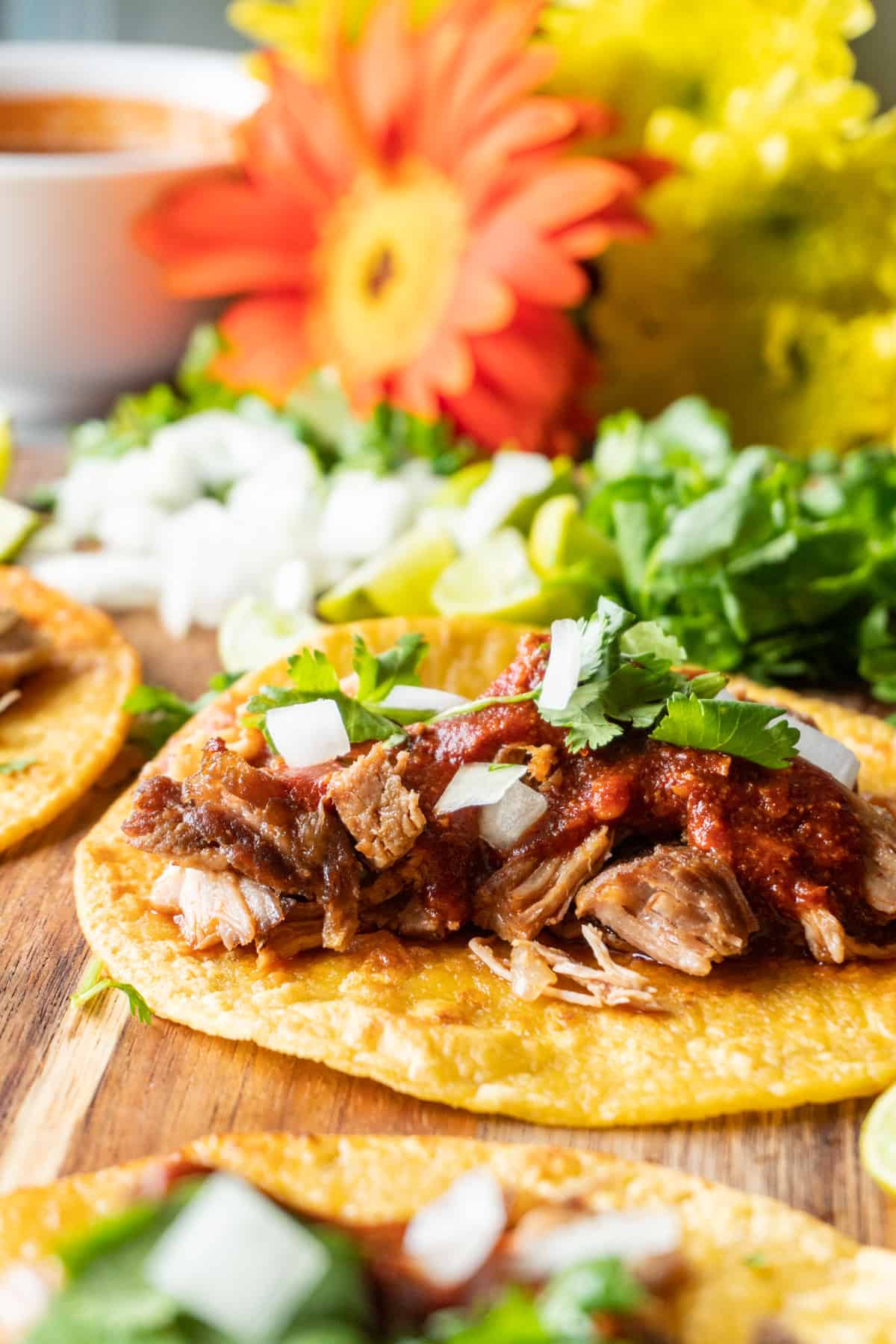 Carnita Taco Open faced