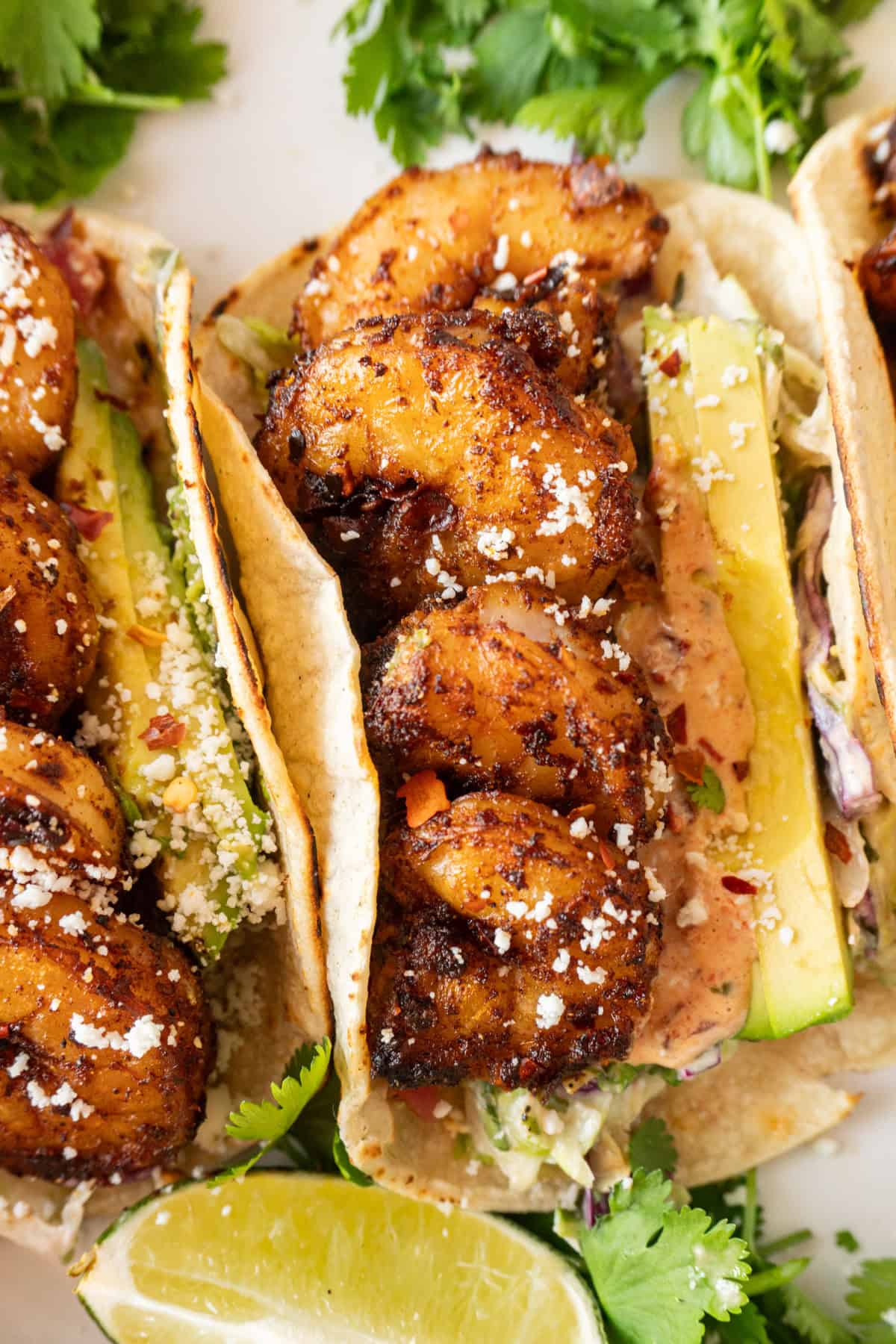 shrimp tacos on white plate