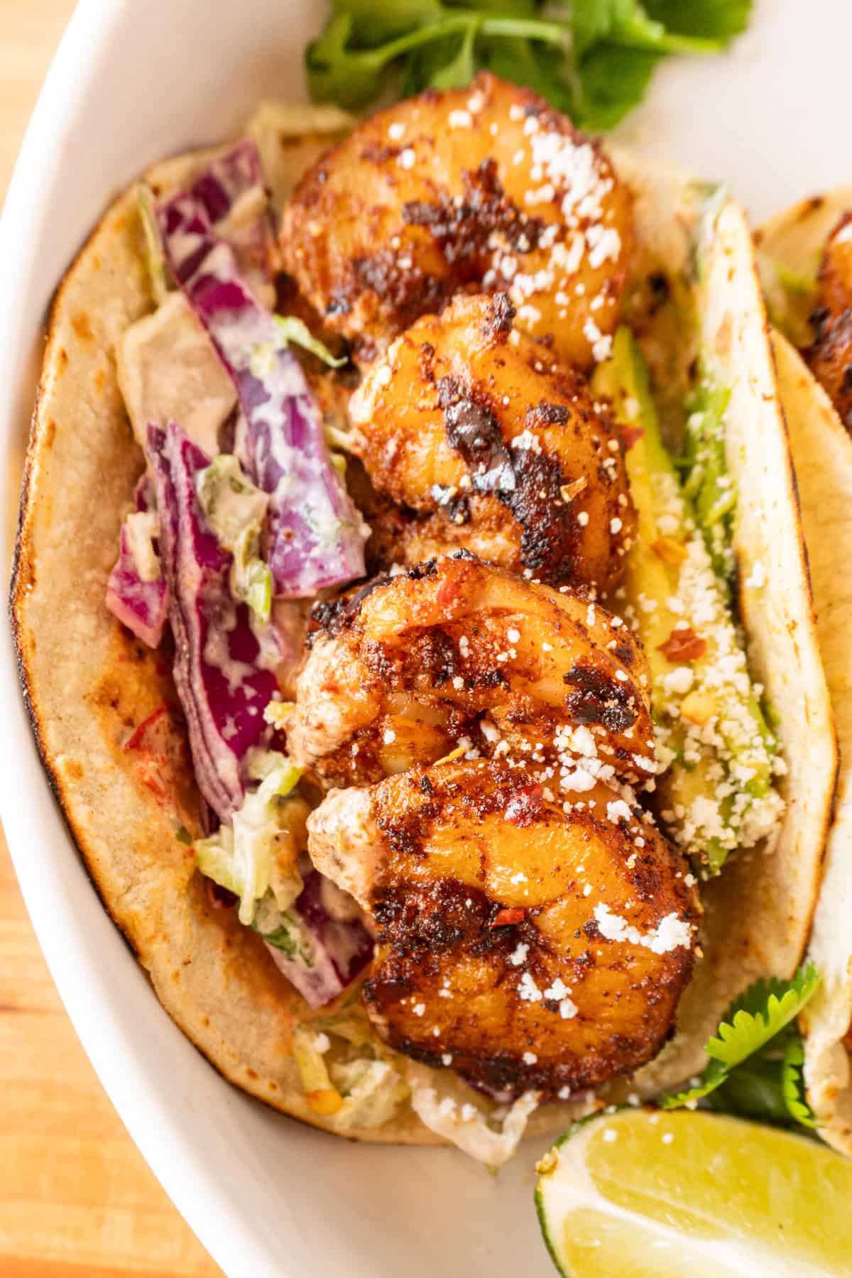 close up of shrimp taco