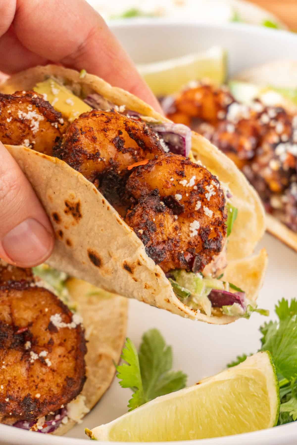 holding a spicy shrimp taco