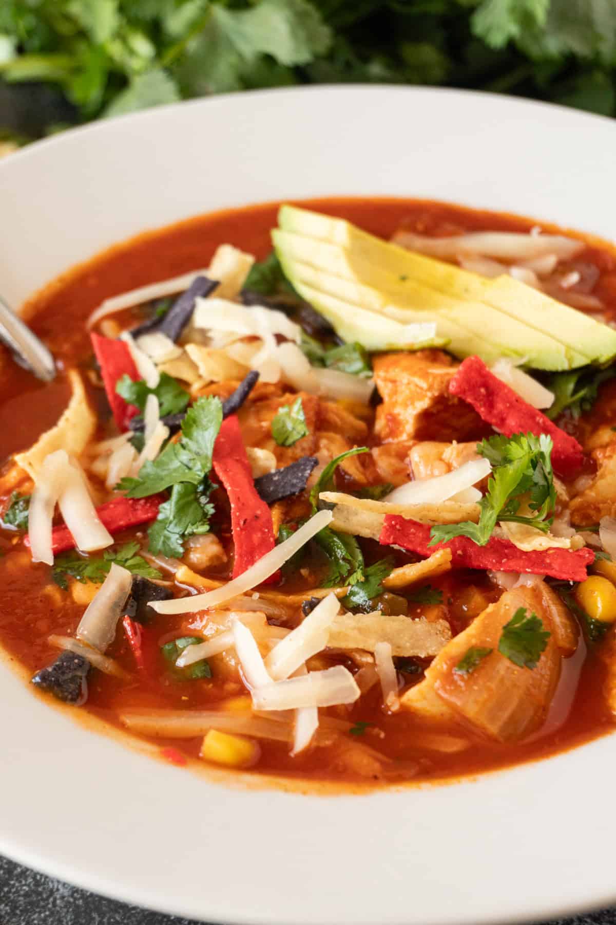 chicken tortilla soup in white bowl garnished with avocado, chips, green onions, with spoon in bowl.
