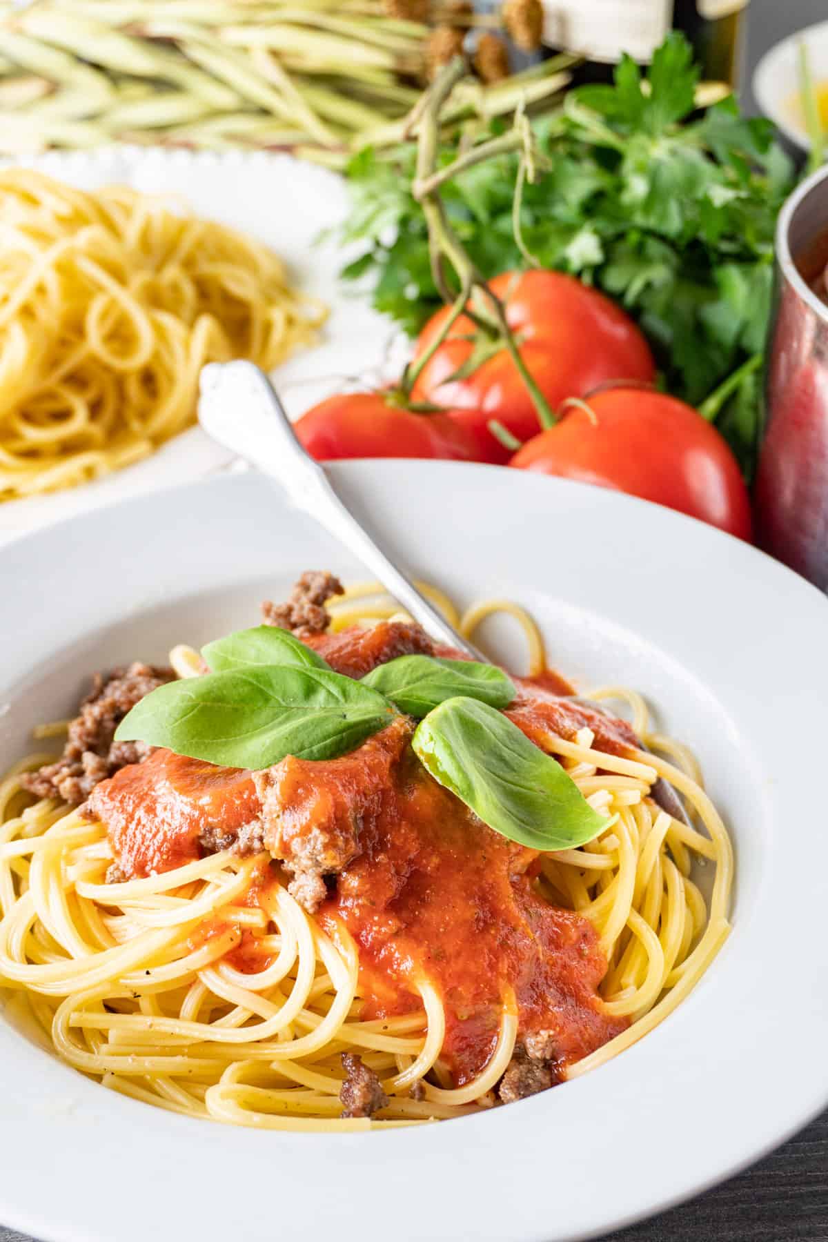 Pasta Marinara on noodles with basil