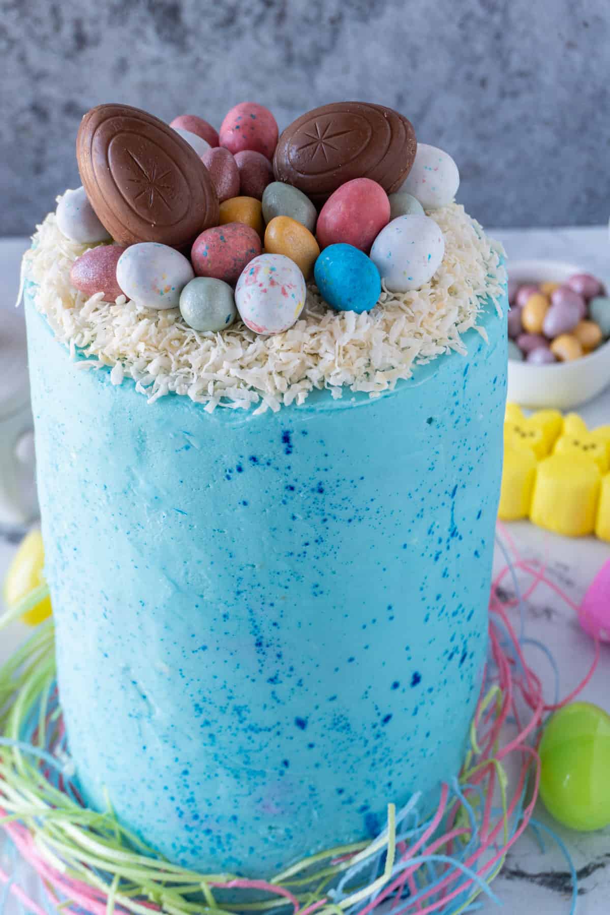 Easter Cake with speckled blue frosting, coconut nest on top, and Easter egg candies