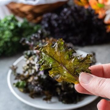 Baked Kale Chip being held