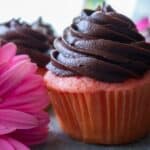 Strawberry Cupcake with Chocolate Frosting
