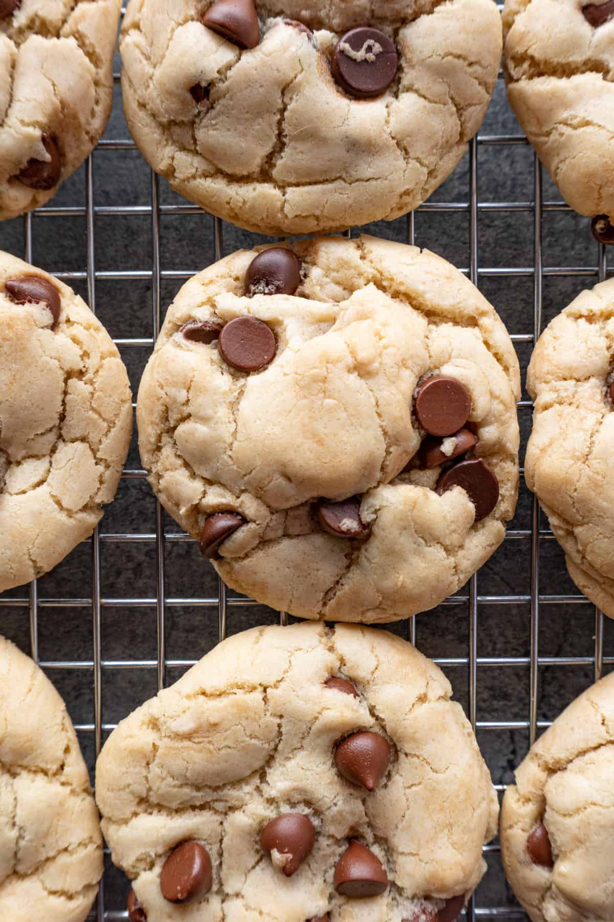 dairy free chocolate chip cookies  close up