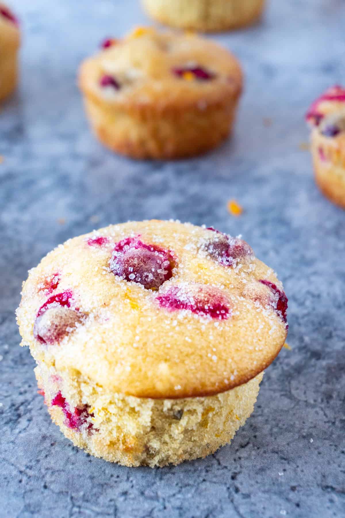 The Best Cranberry Orange Muffins, easy to make and delicious! Perfect for a breakfast treat or an afternoon snack! cranberry orange muffin close up