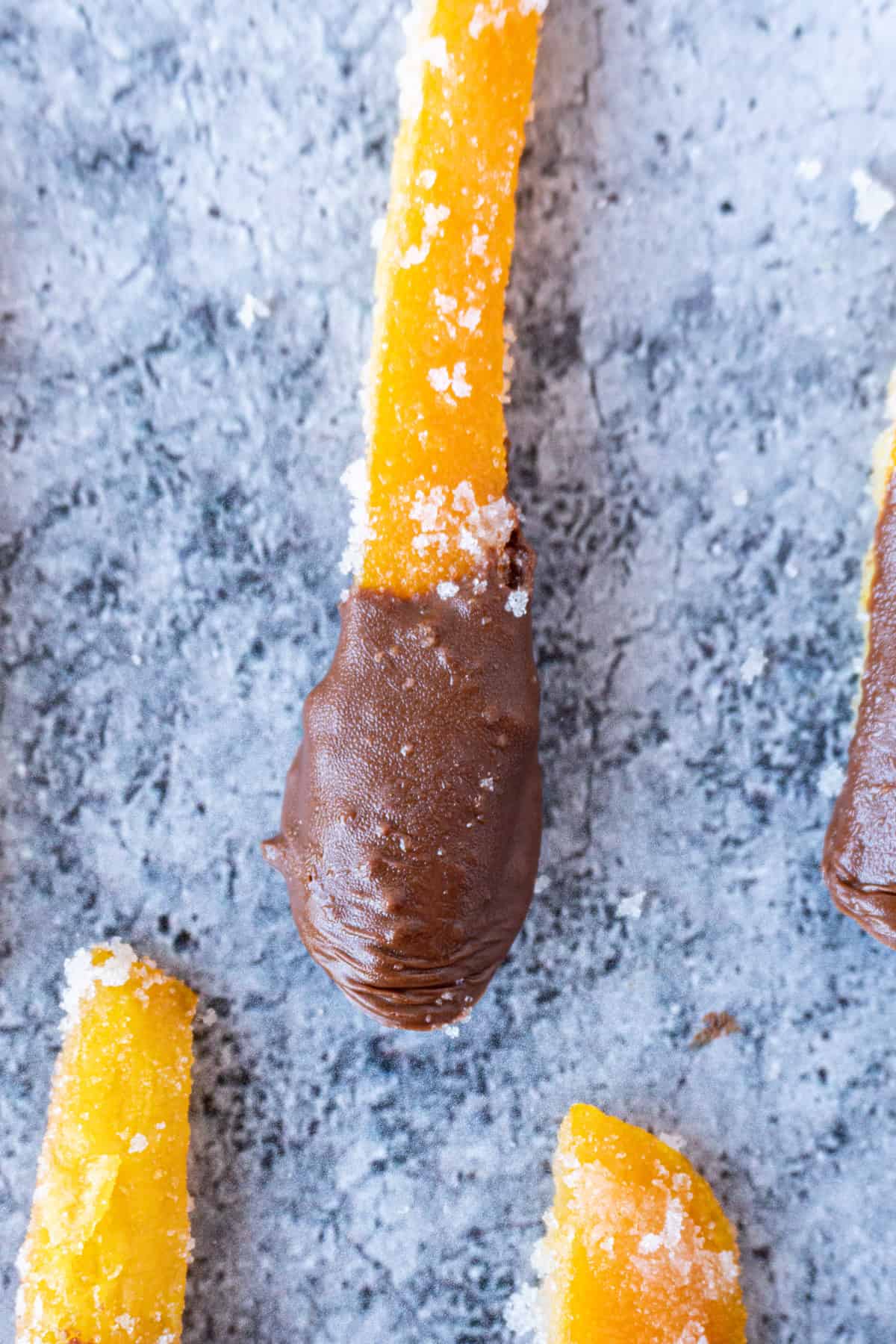 candied orange peel dipped in chocolate