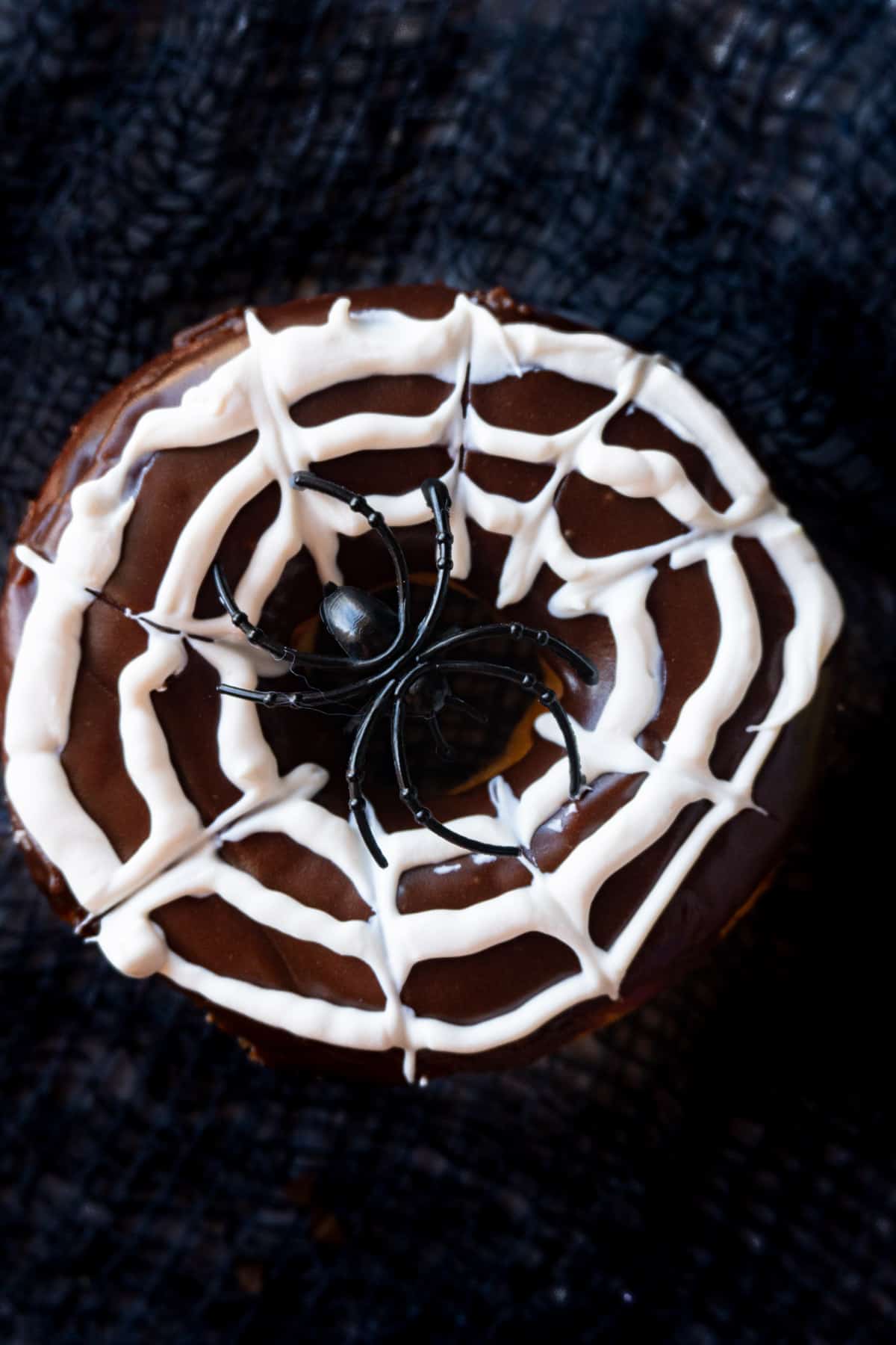 close up of spider web donut