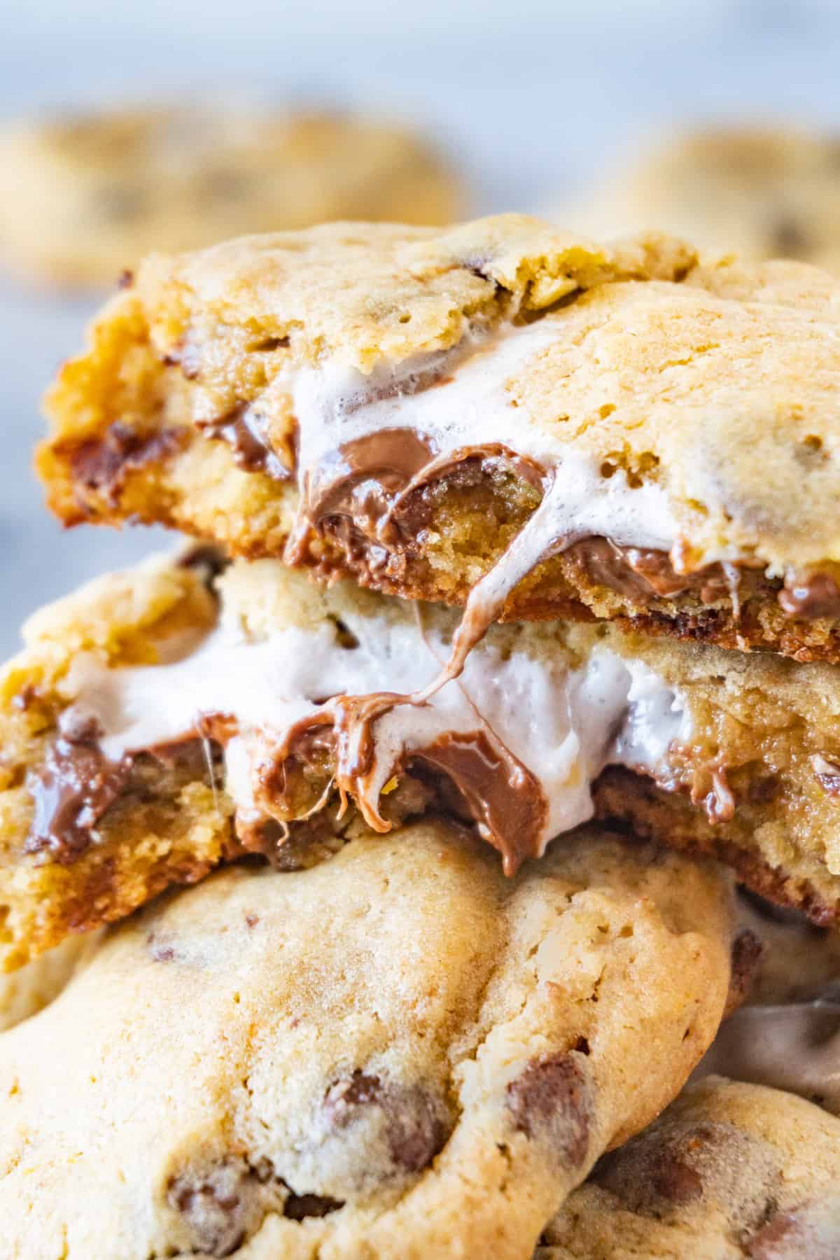 marshmallow stuffed cookies close up of cookie halved with marshmallow and chocolate in center