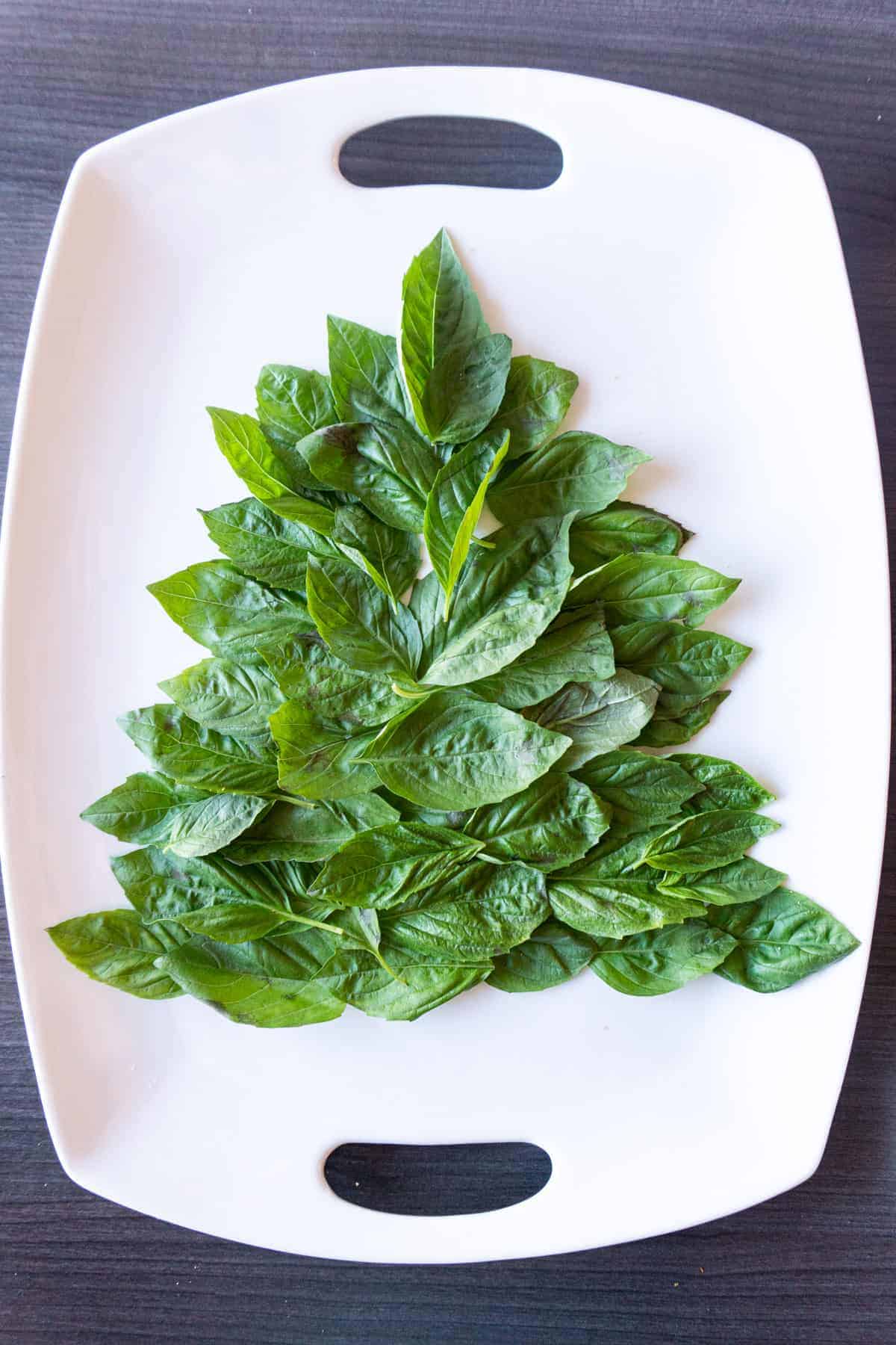 make basil into the shape of a tree