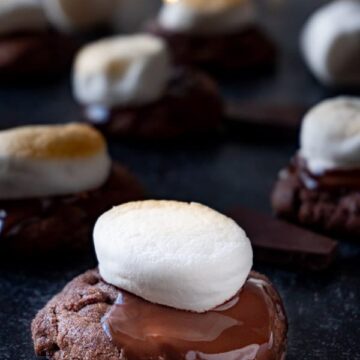 Hot Cocoa Cookie with chocolate melted and marshmallow toasted