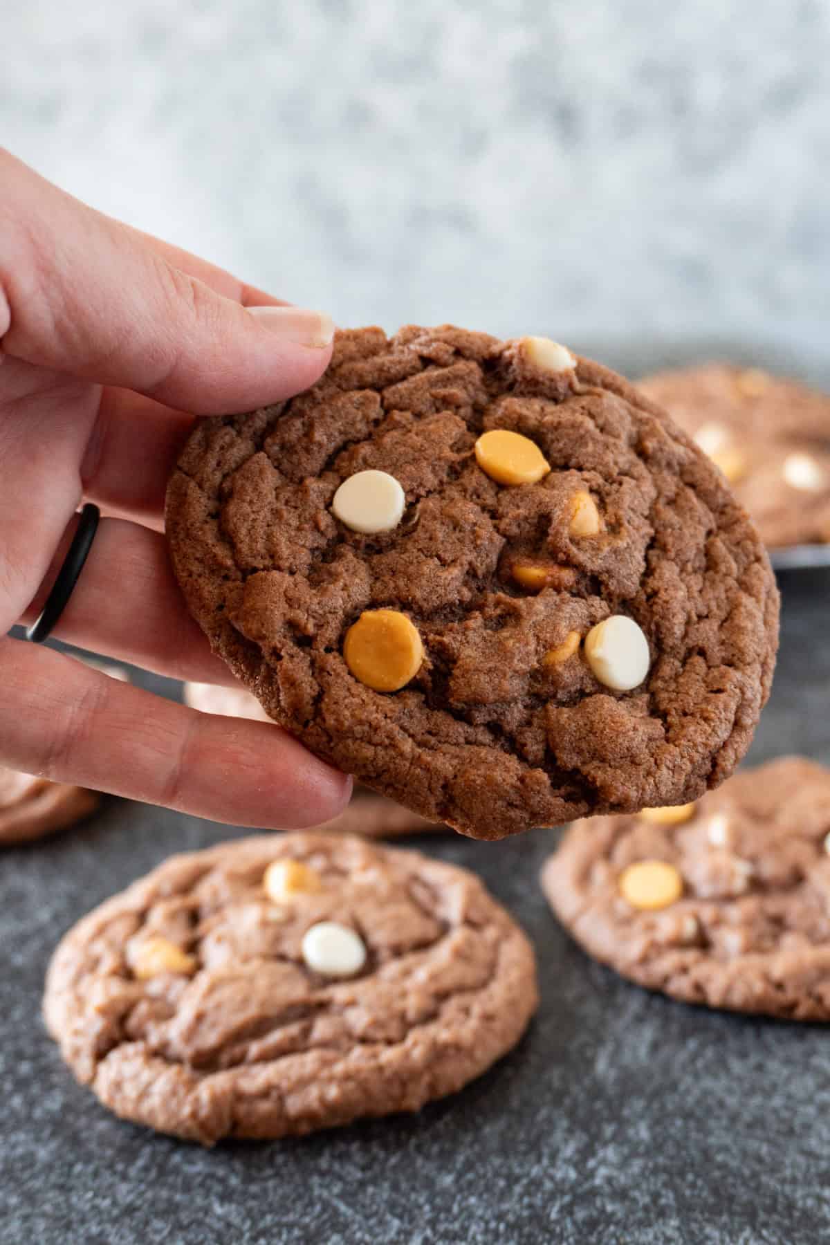 holding a chocolate pudding cookie.