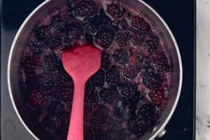 Combine blackberries, sugar, and wine- boil