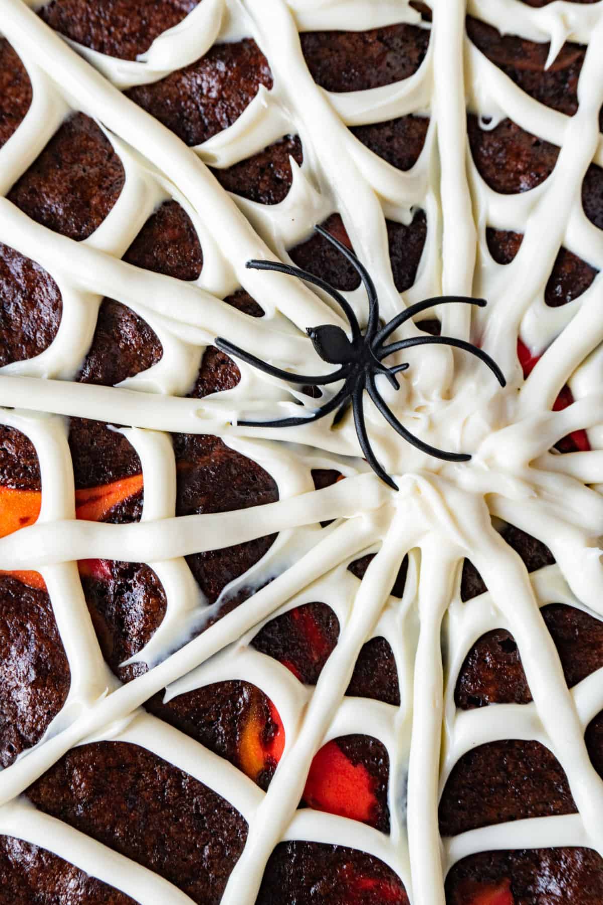 close up of spiderweb on brownie