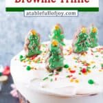 Christmas Trifle ointerest pin