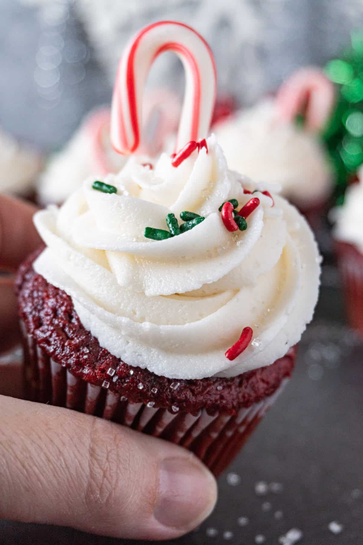holding a candy cane cupcake with white frosting and a mini candy cane on top.