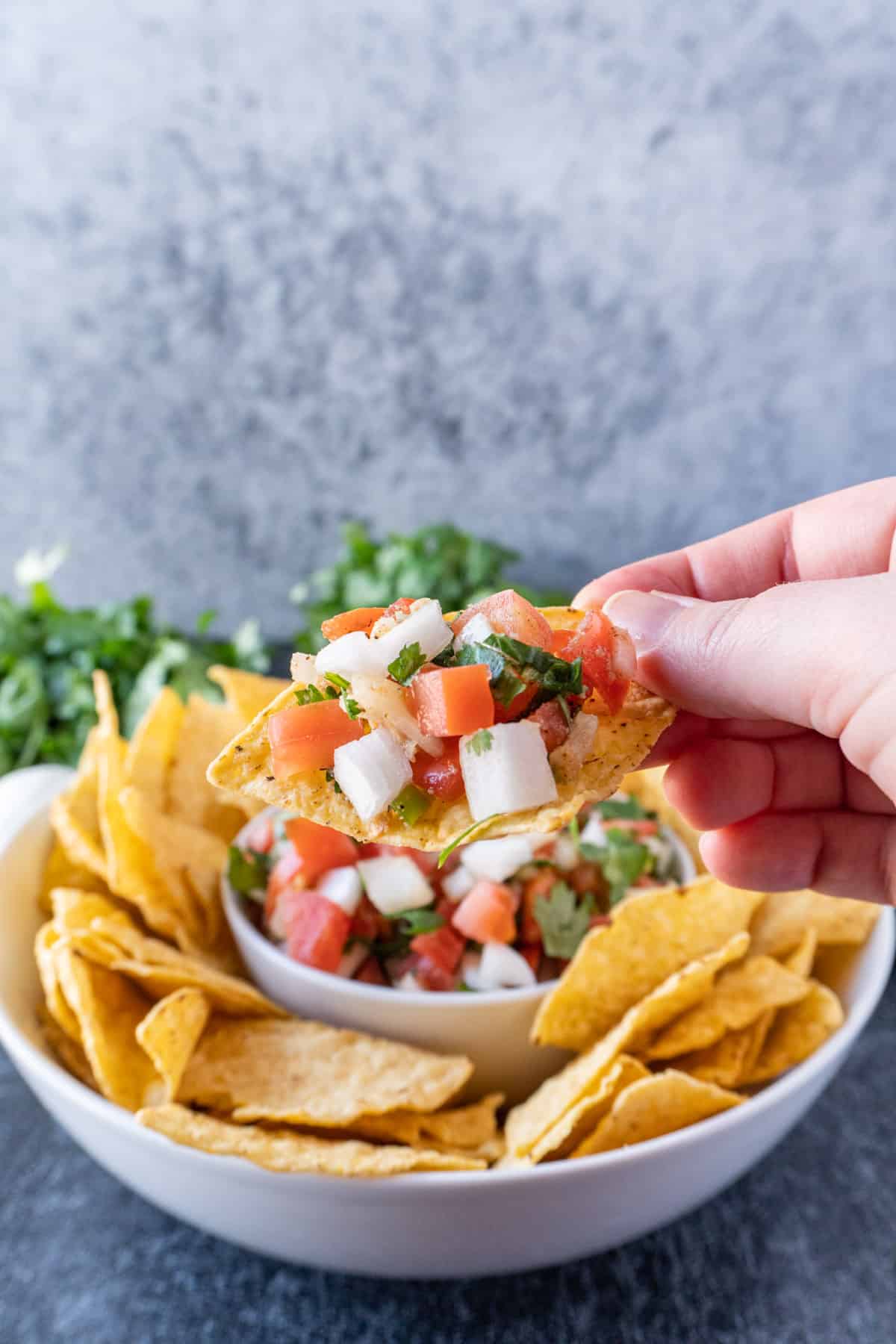 best pico de gallo on a chip