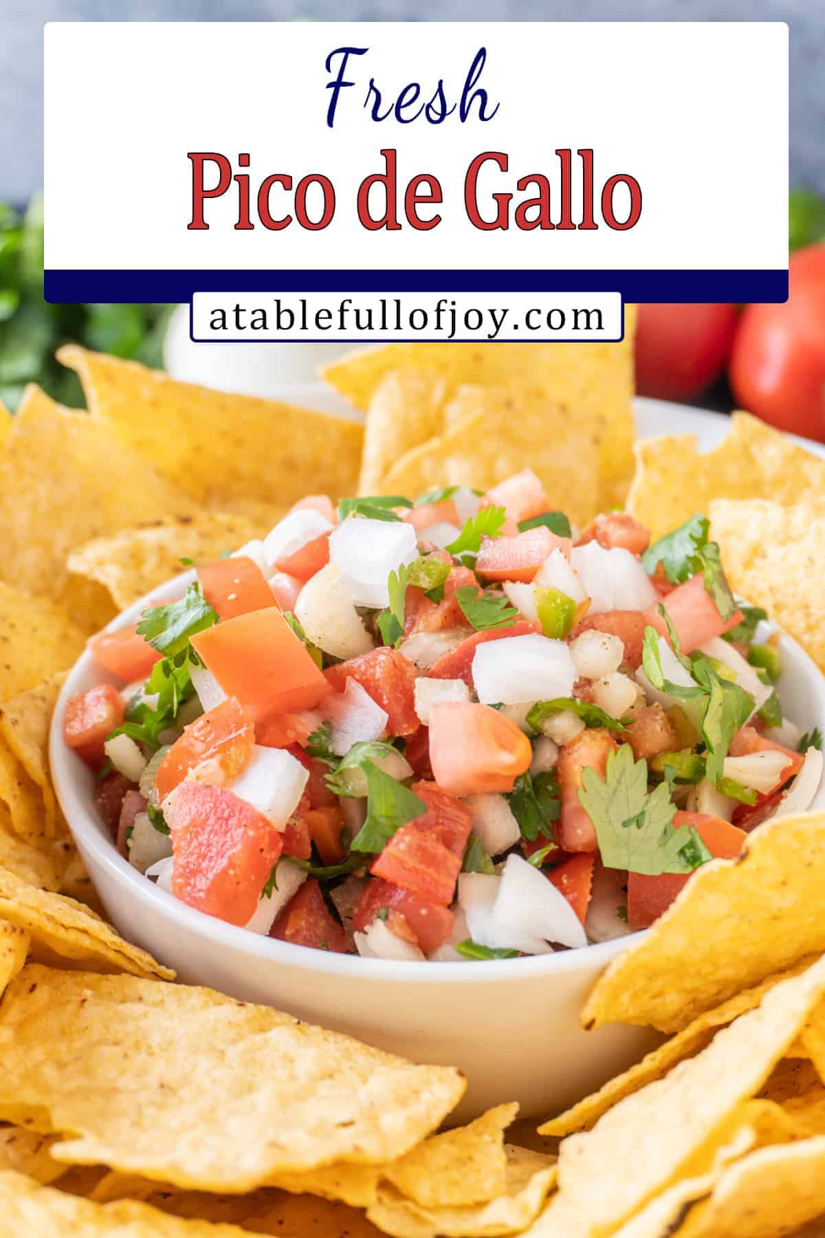 best pico de gallo pinterest pin