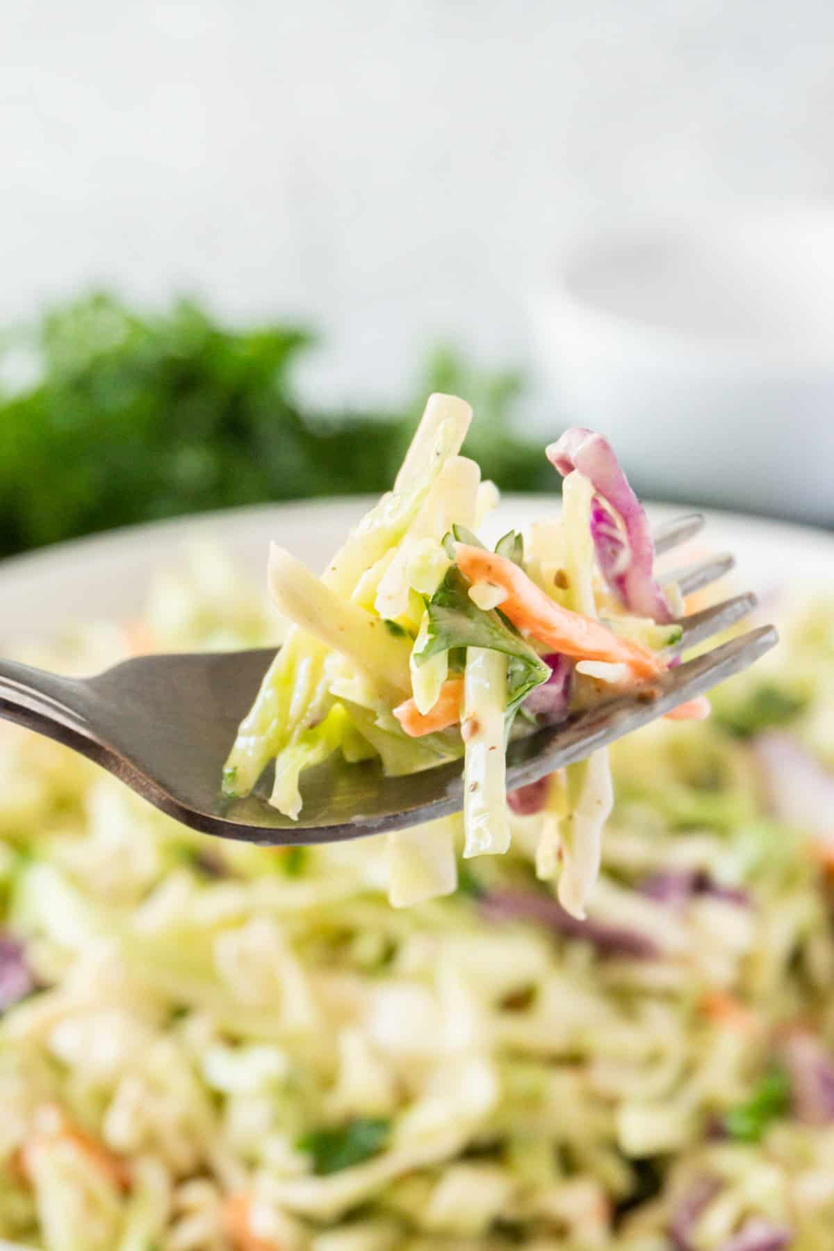 broccoli slaw on a fork