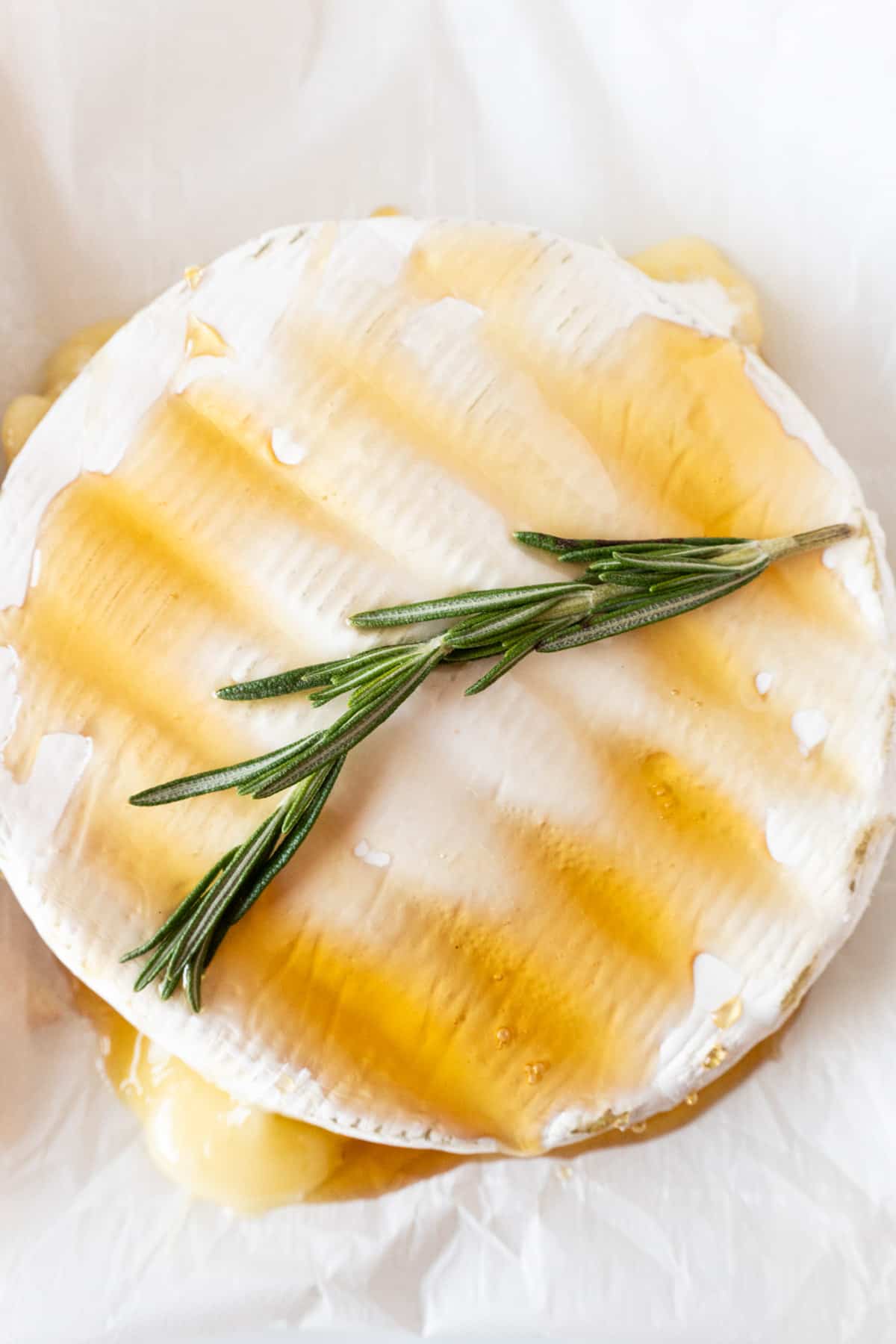 close up of baked brie with honey and rosemary sprig on top