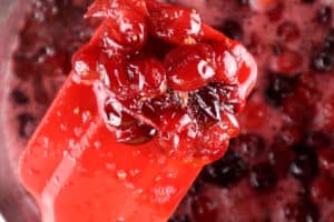 close up of burst cranberries on spatula