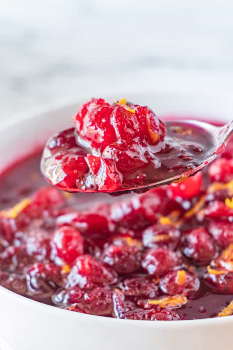 spoonful of cranberry relish