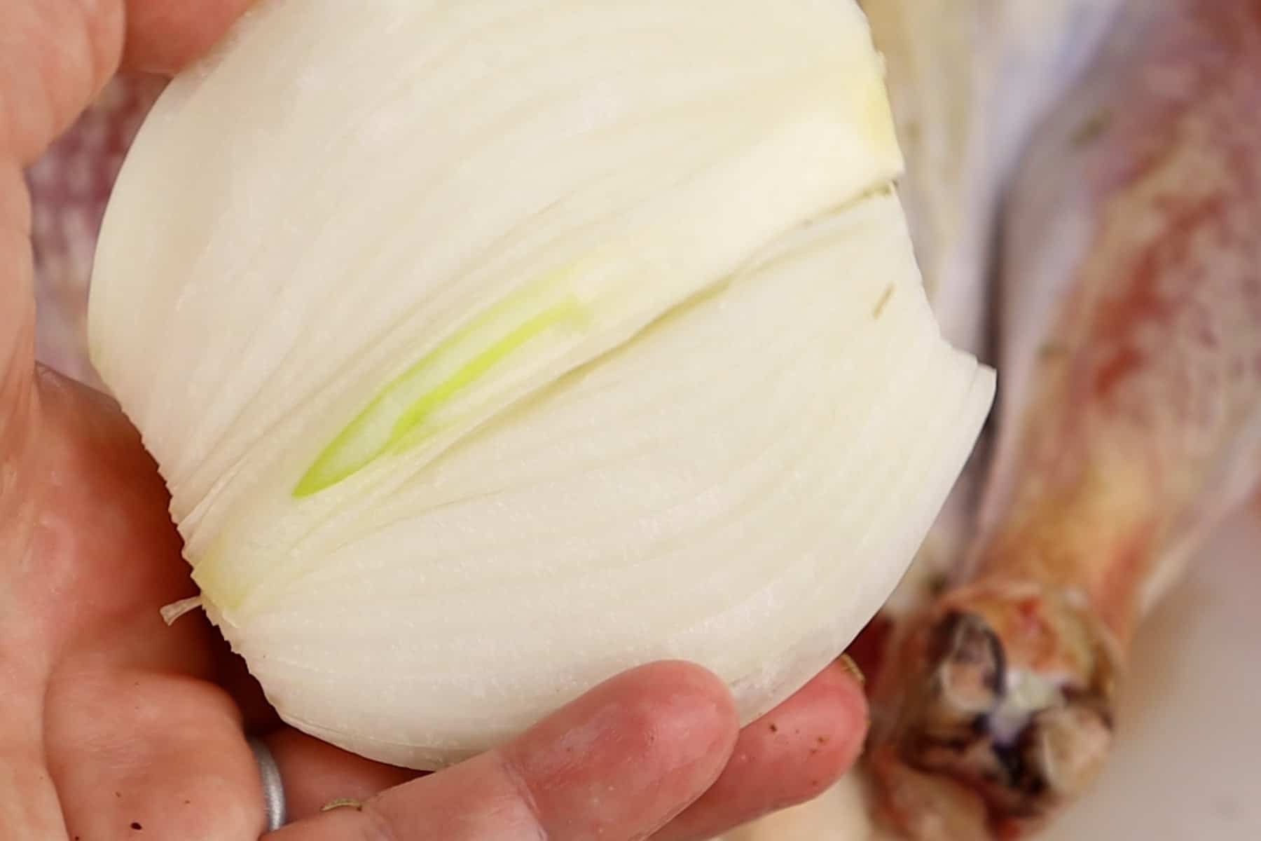 adding onion to the turkey