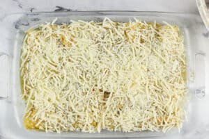enchiladas in baking dish before baking and melting cheese