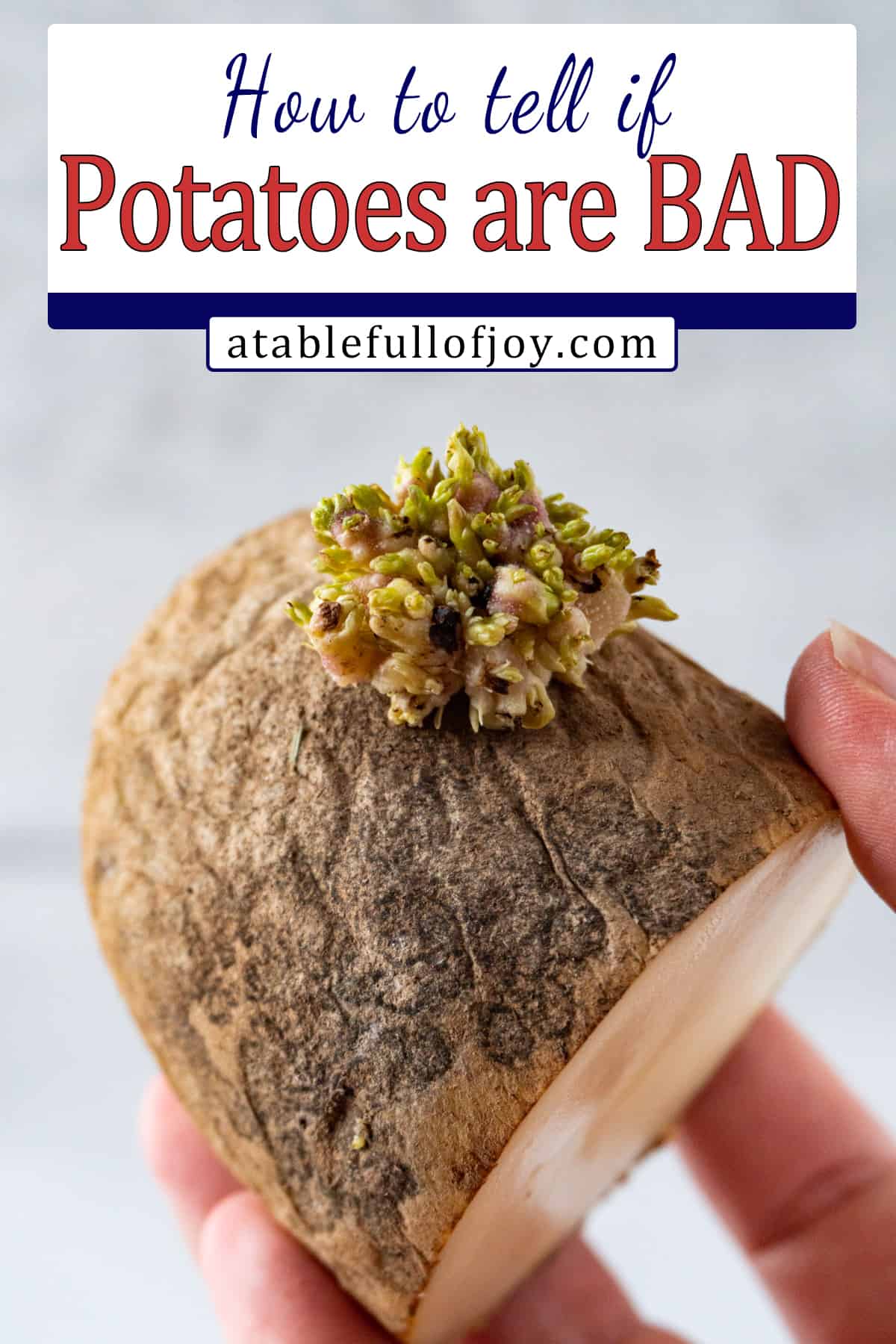 how to tell if potatoes are bad pinterest pin