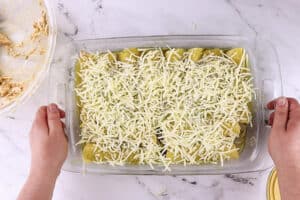 green chile chicken enchiladas before baking in casserole dish