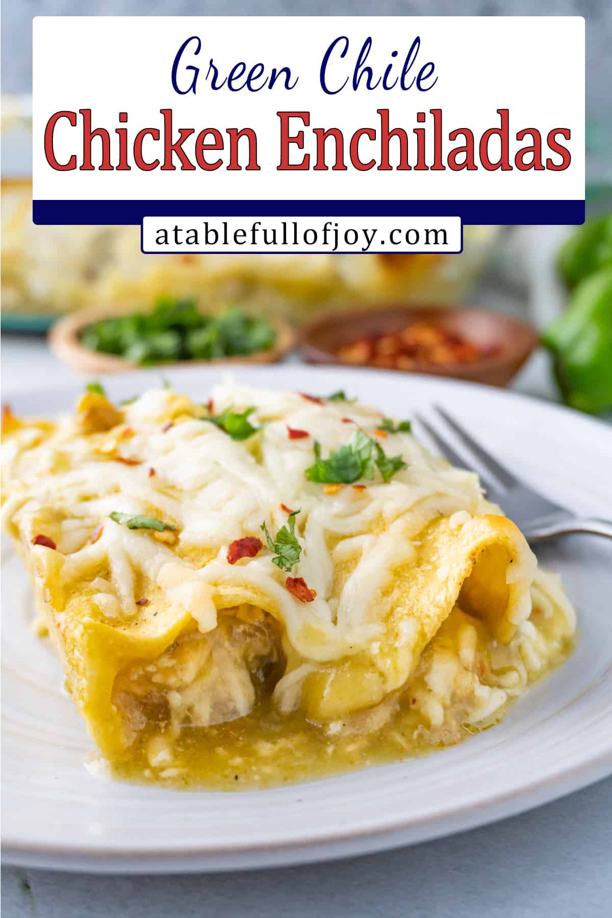 enchilada on plate pinterest pin