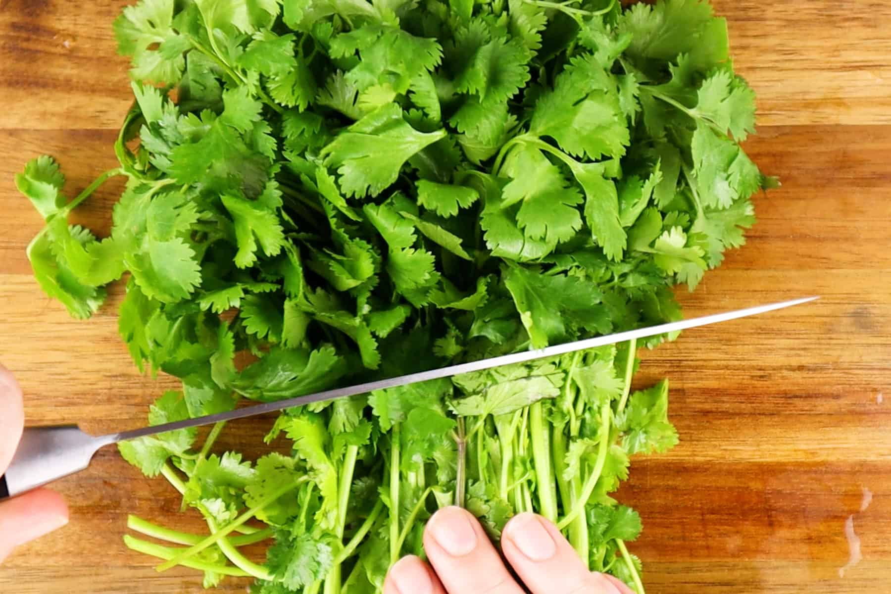 cutting off cilantro stems