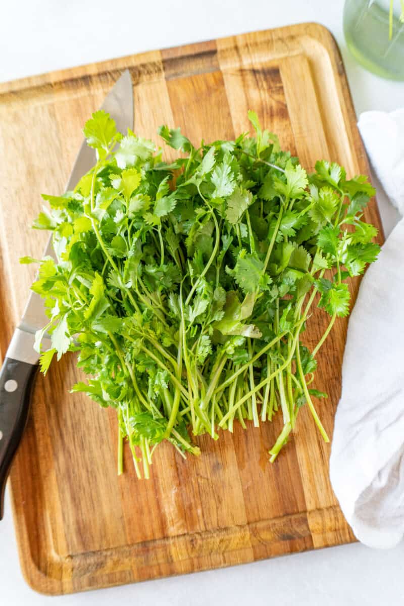 How to chop cilantro 3 easy steps for the perfect garnish!