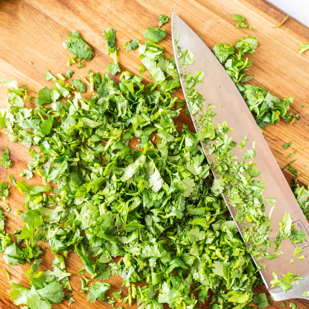 cilantro chopped on cutting board with knife featured image