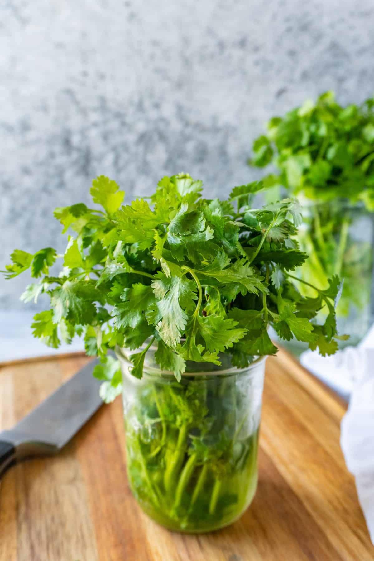 cilantro in mason jar with water