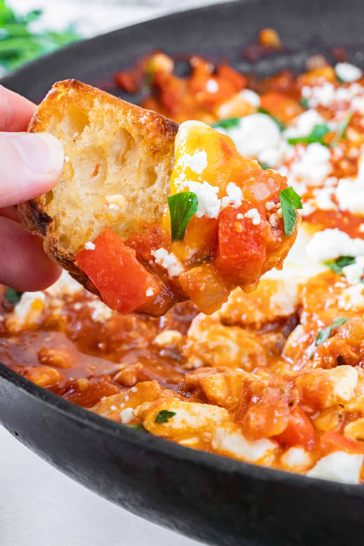 shakshuka on a toasted piece of bread