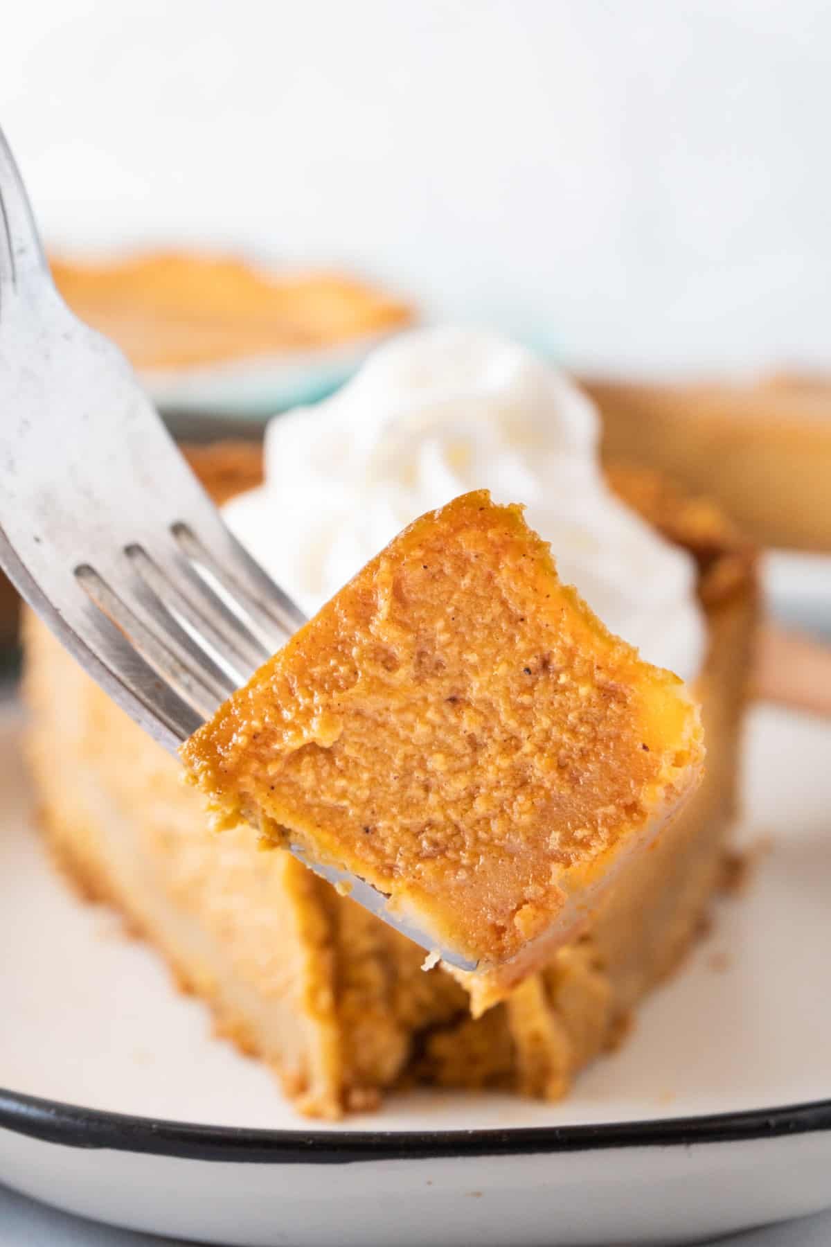 piece of pumpkin pie on fork