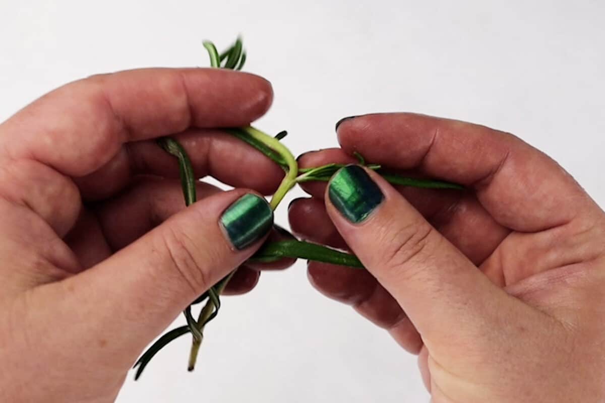 separating rosemary leaves from stem