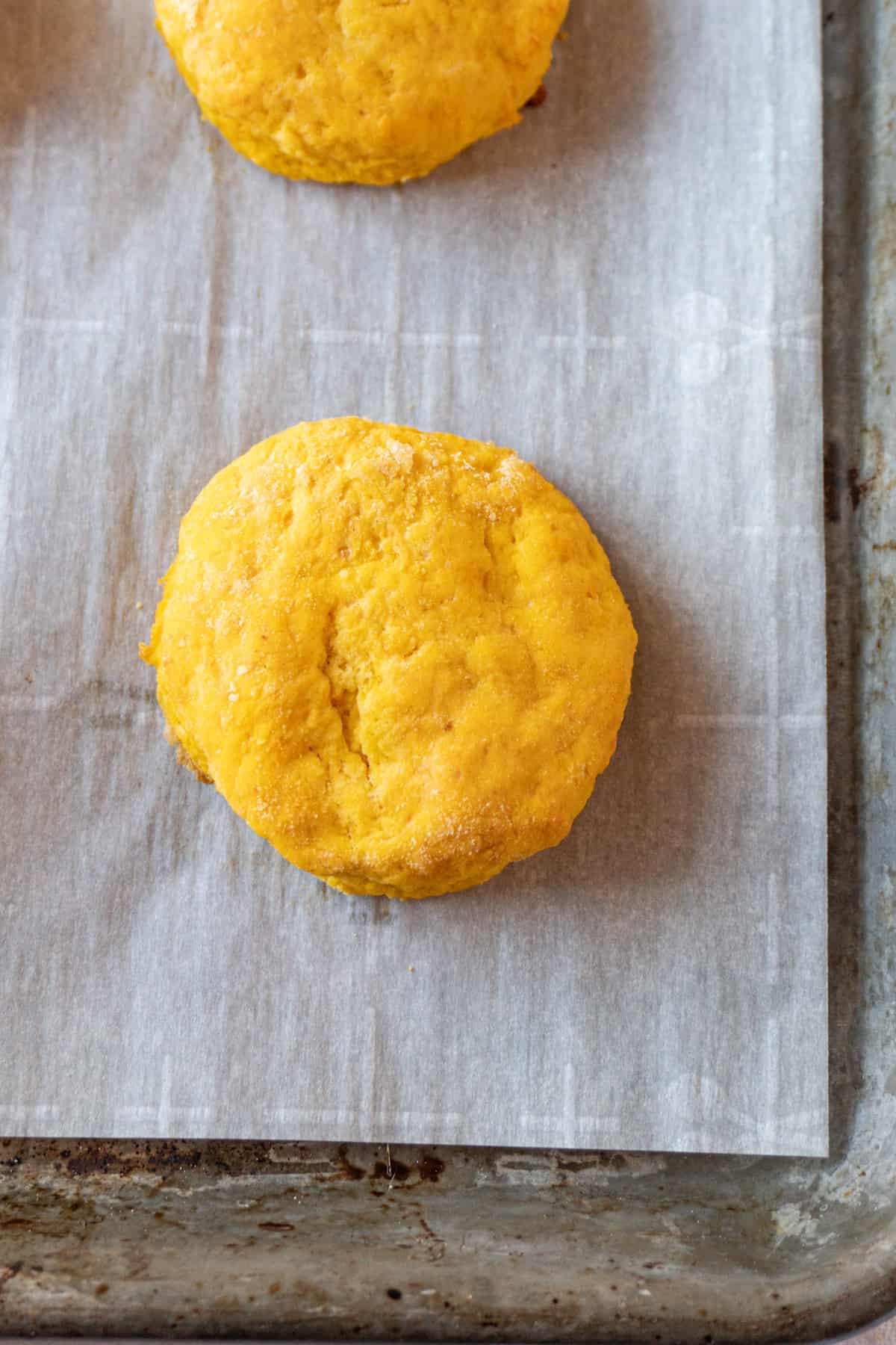 sweet potato biscuit baked on tray