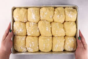 Sweet Potato Rolls after 2nd rise