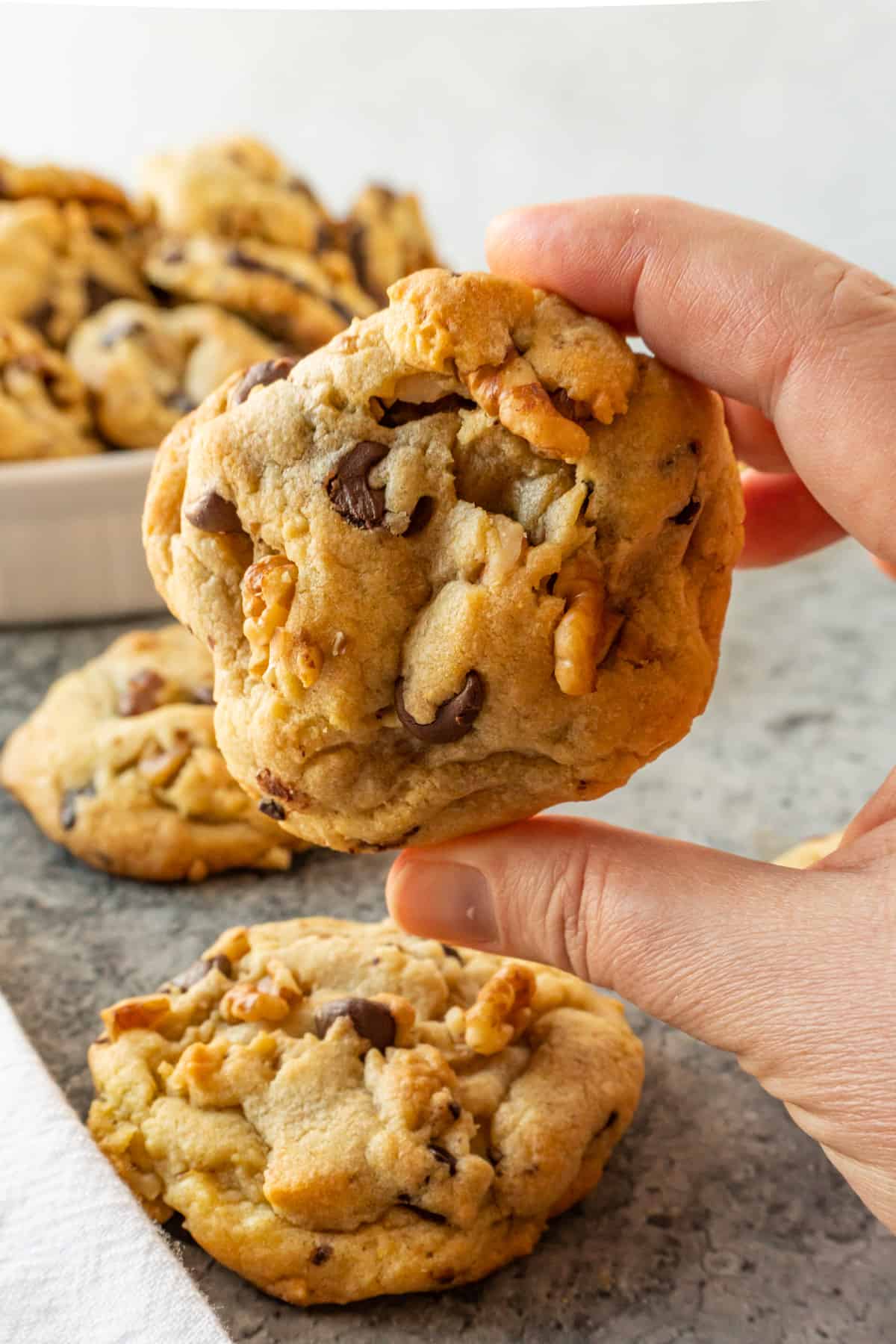 holding a walnut chocolate chip cookie